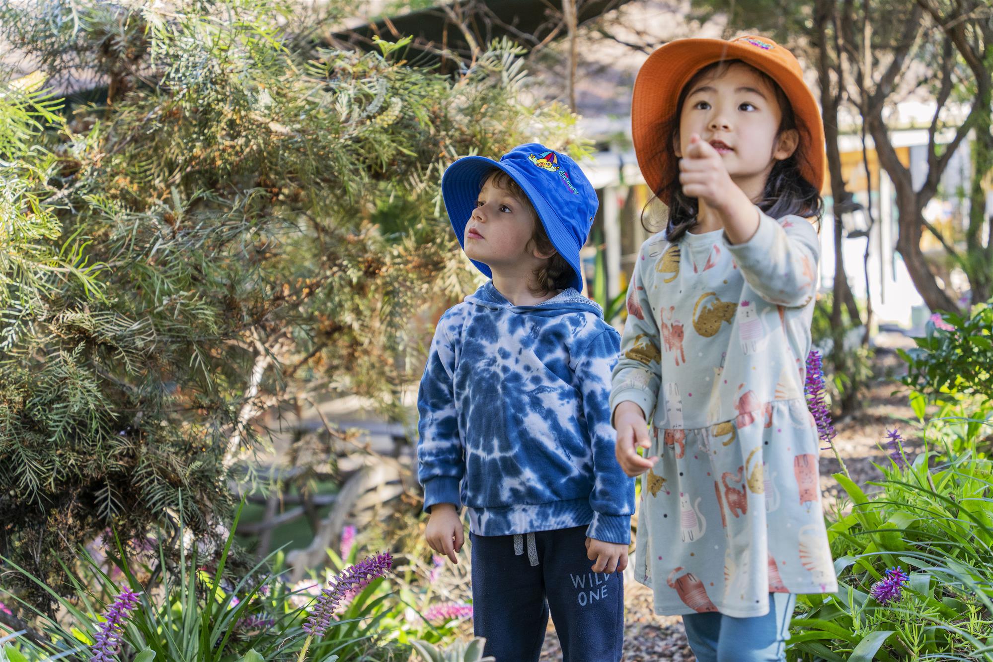 Children looking at nature